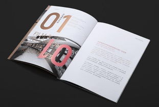 解析深圳產品目錄設計與VI系統的復雜性與代理代辦服務