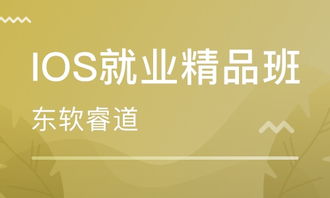 南京軟件開發培訓 如何選擇優質的輔導班與行業趨勢